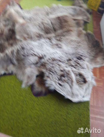 Шкура медведя имитация