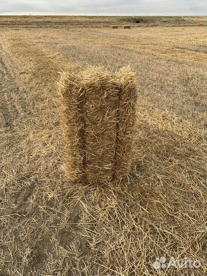 Салома в тюках