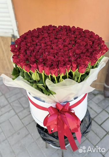 Цветы букеты 101 роза