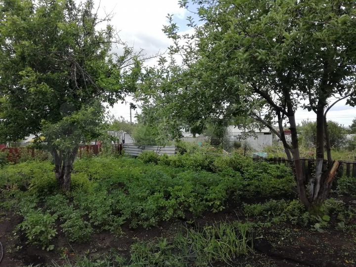 Участок 4 сот. (СНТ, ДНП)