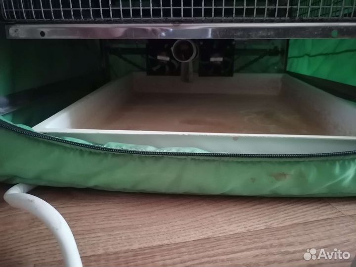 Инкубатор для яиц автоматический