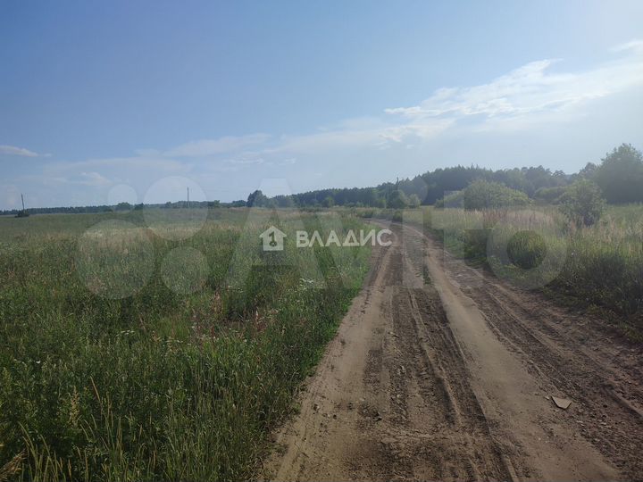 Участок 39 га (СНТ, ДНП)