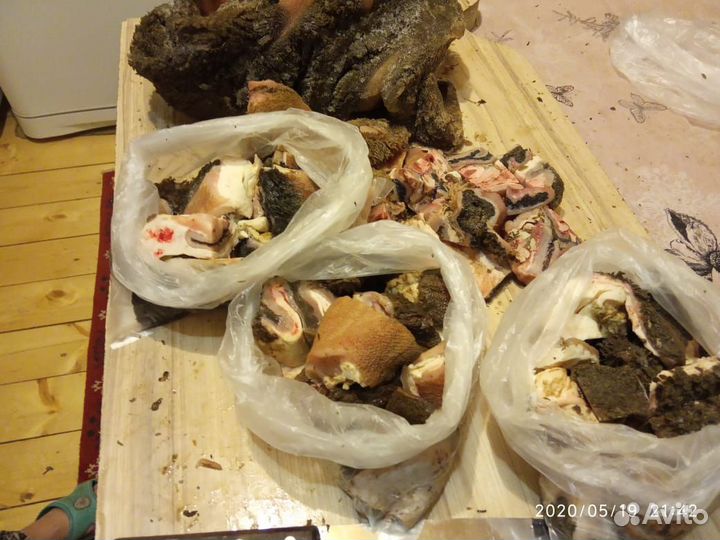 Натуральная еда для собак