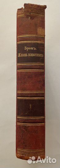 Брэм. Жизнь животных. Том 1. Млекопитающие