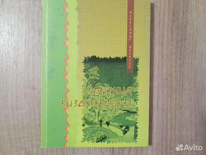 А. Цибизов. Матрица выздоровления. 2008 г