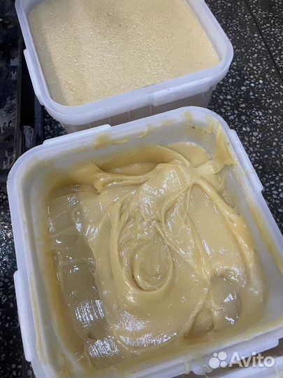 Липовый мед оптом
