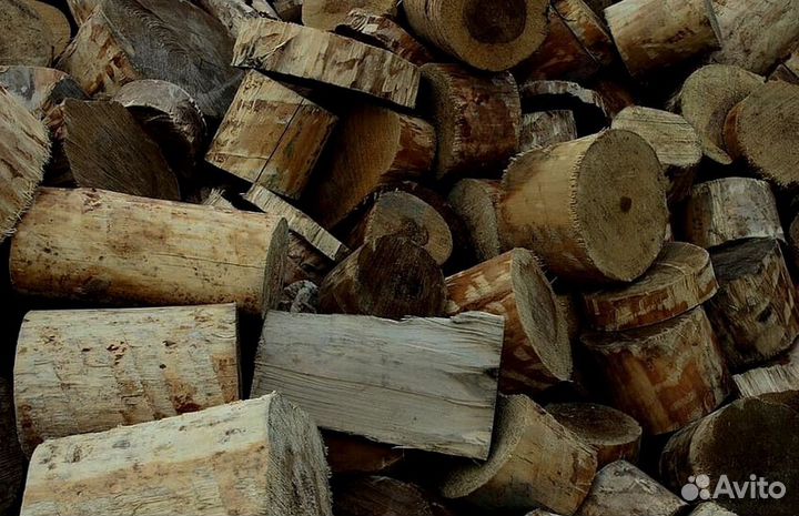 Дрова подсушенные