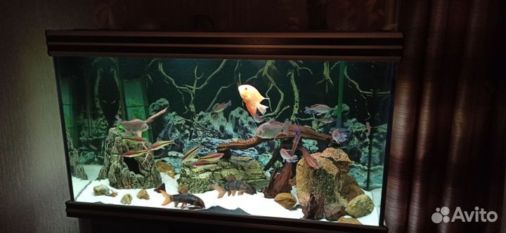 Аквариум Aquatlantis с оборудованием Eheim