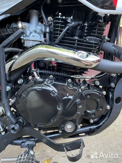 Рейсер пантера 250