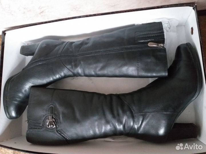 Сапоги
