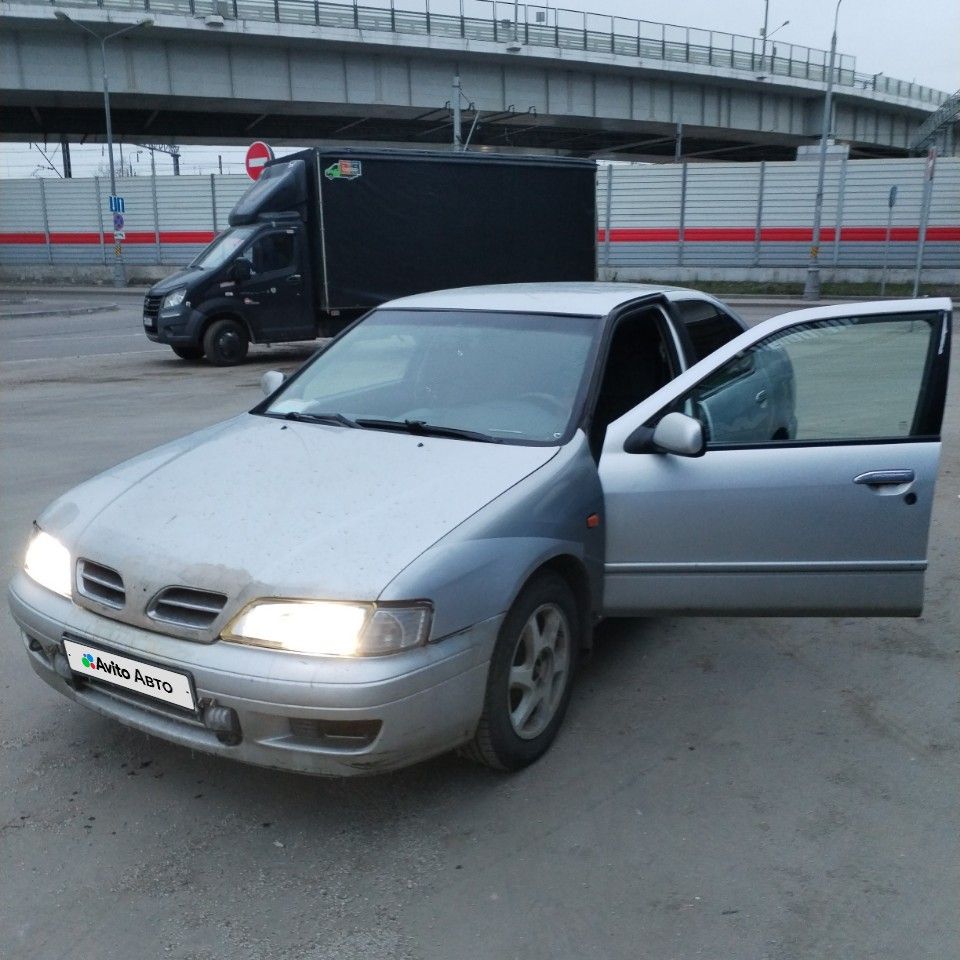 Nissan Primera: фото владельца