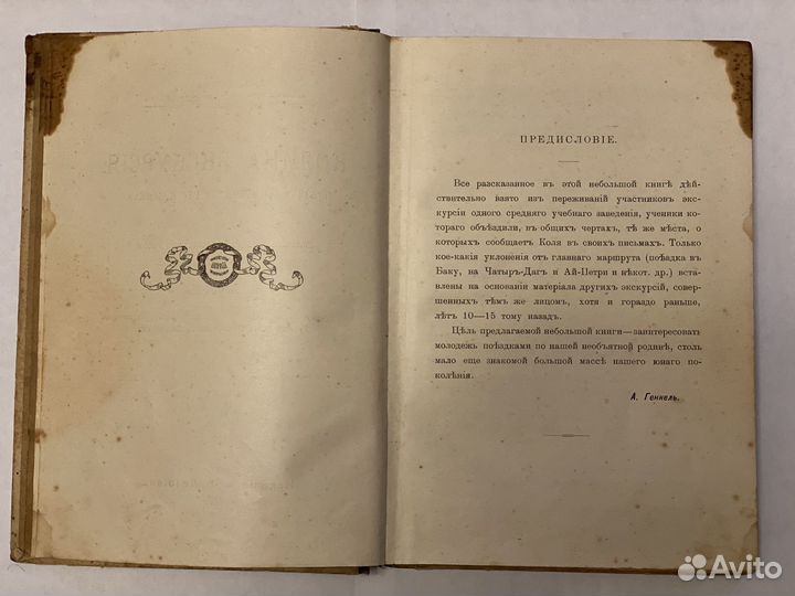 Колина Экскурсия. А. Г. Генкель. 1915 год