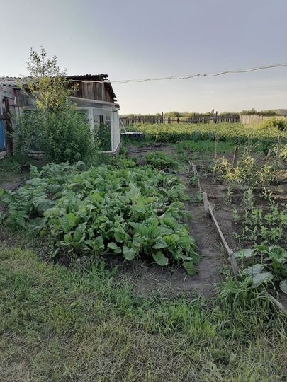 Дом 90,6 м² на участке 34 сот.