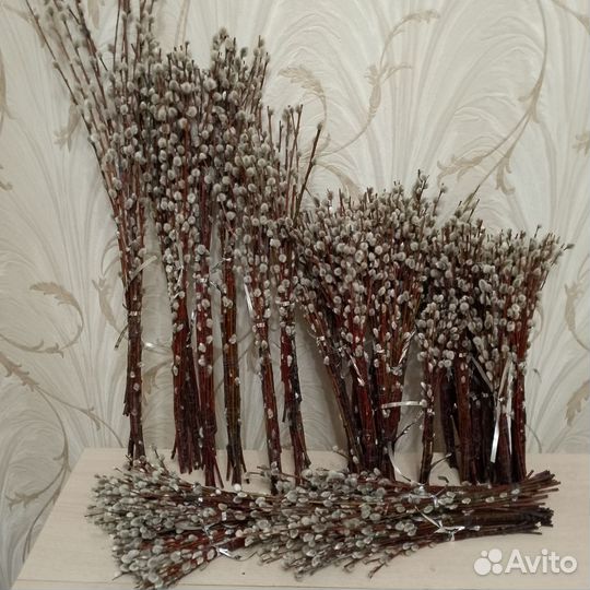 Верба оптом