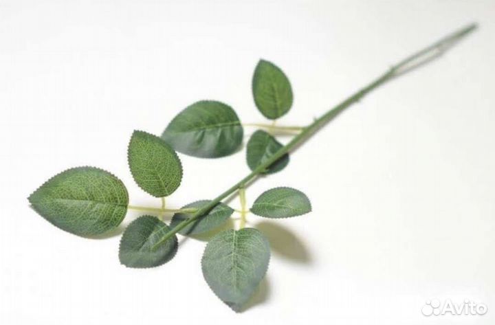 Стебель розы, 55 см