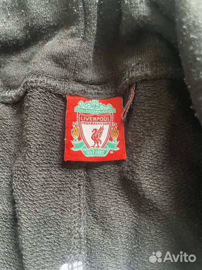 Шорты liverpool
