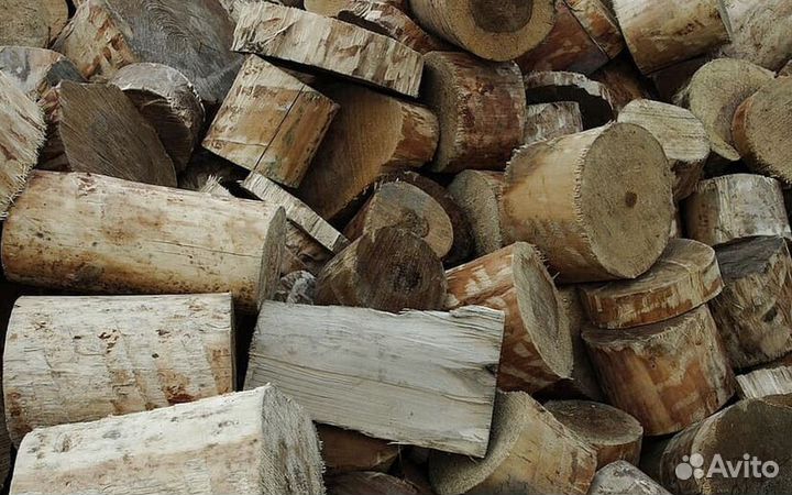 Дрова осина