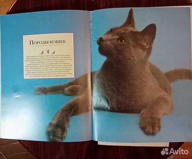 Энциклопедия из серии 