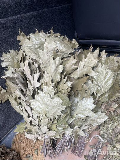 Веники для бани дуб береза