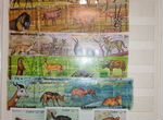 Почтовые марки 20 века на тематику животных