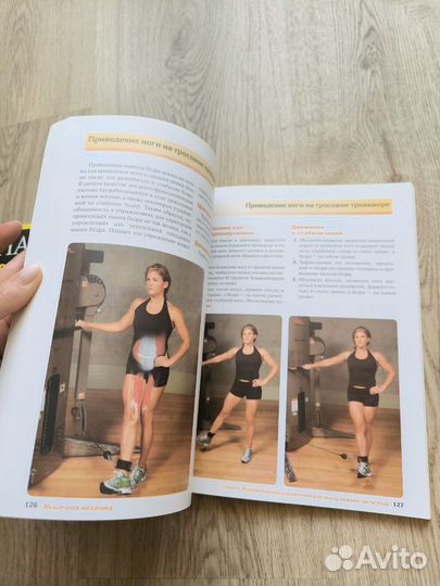 Анатомия силовых упражнений, Мышечная механика