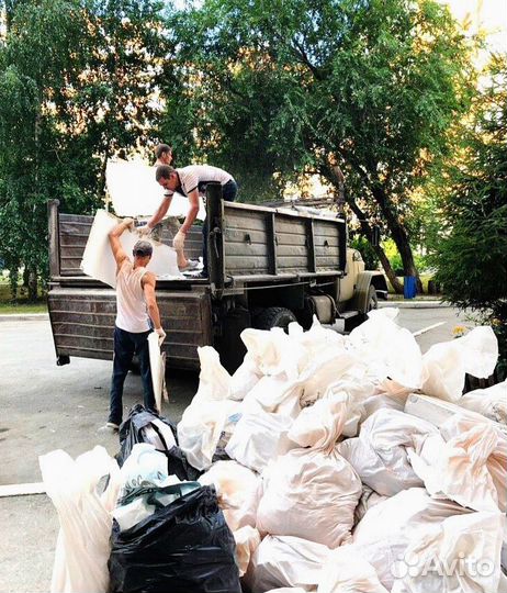 Вывоз мусора, спил деревьев, демонтаж