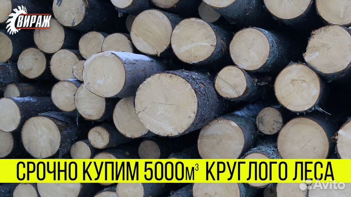 Возьмем у вас - Еловый кругляк, объем 15000м3, сей
