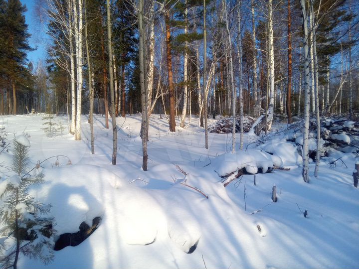 Участок 27 сот. (СНТ, ДНП)