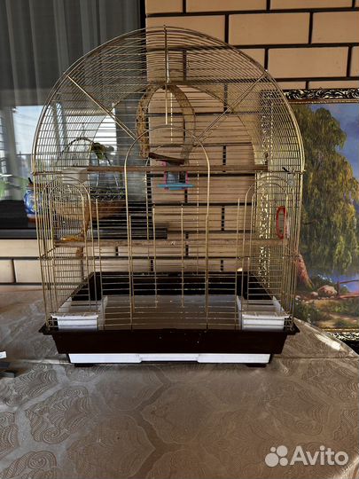 Кенор с клетками