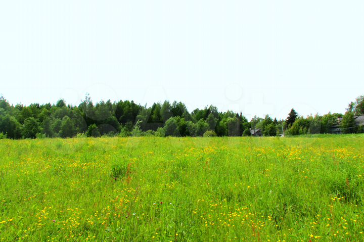 Участок 50 сот. (ИЖС)