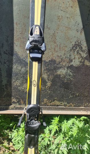 Горные лыжи