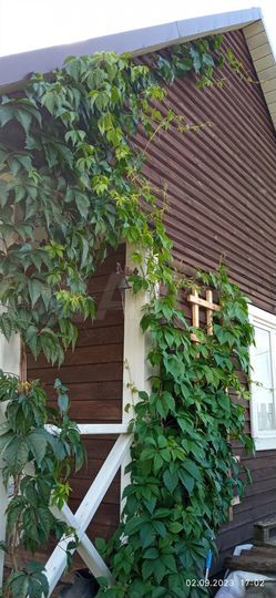 Дача 30 м² на участке 6 сот.