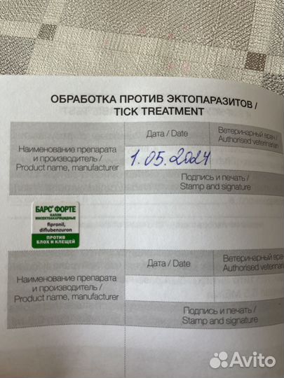 Щенки пекинеса