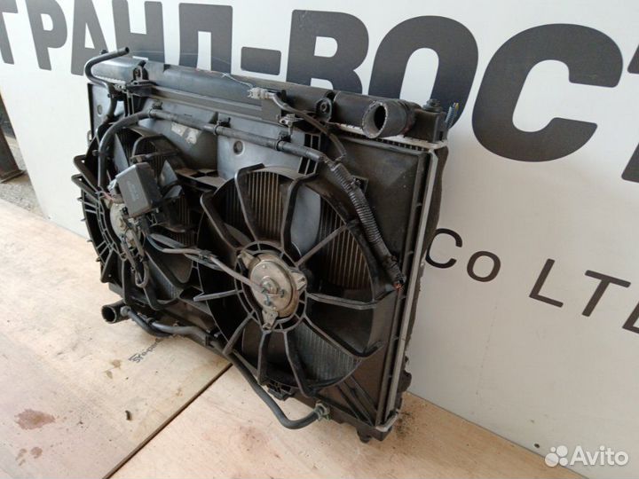 Радиатор охлаждения двигателя Nissan Fuga PY50