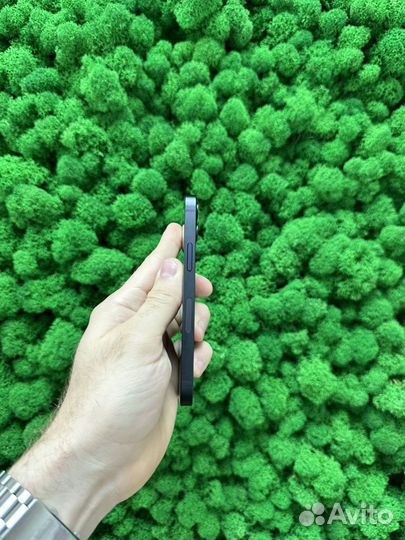iPhone 12 mini, 256 ГБ