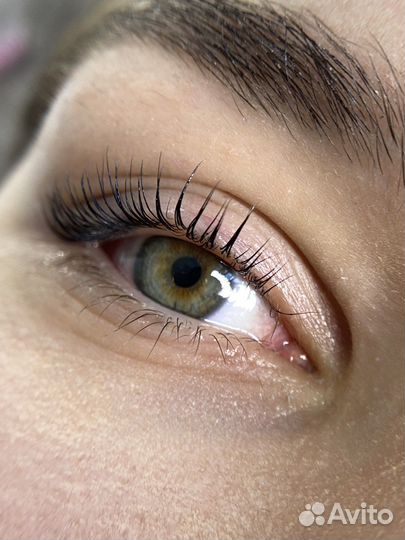 Ламинирование ресниц, оформление бровей