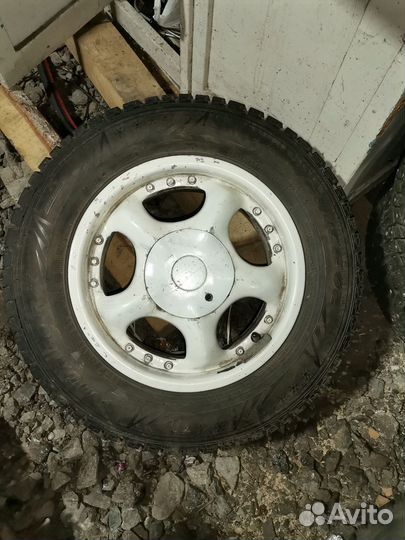 Dunlop Winter Maxx 175/70 R13