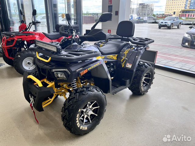 Квадроцикл MotoLand 200 wild track X winch