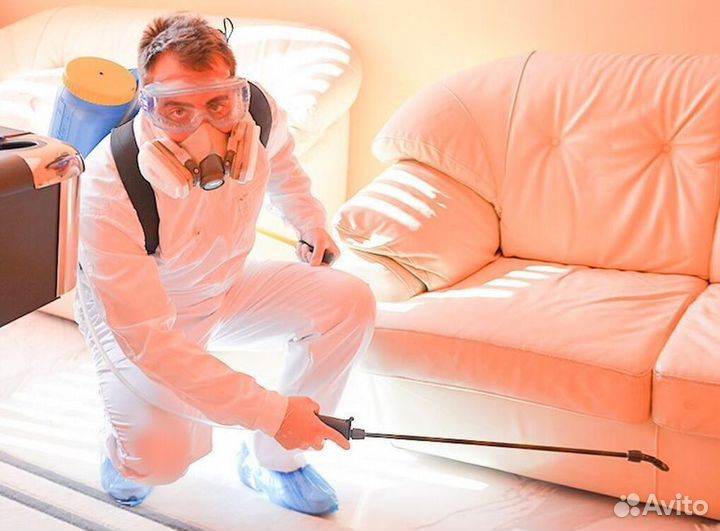 Средство для Уничтожения клопов Дезинсекции тараканов