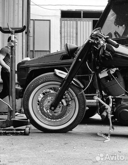 Harley Davidson softail