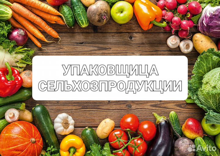 Упаковщица сельхозпродукции вахта