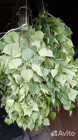 Веники для бани