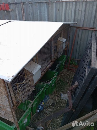 Клетки для кроликов