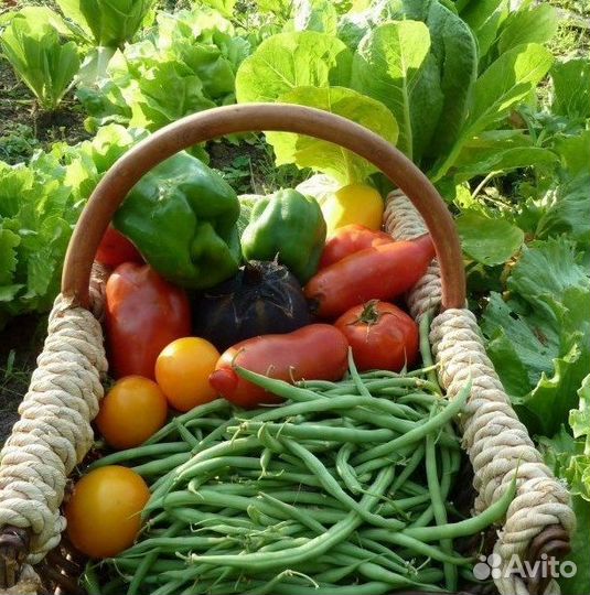 Грунт универсальный на участок