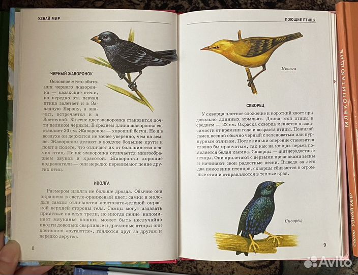 Энциклопедии для детей