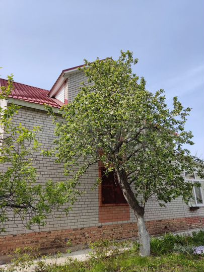 Дом 128 м² на участке 7 сот.