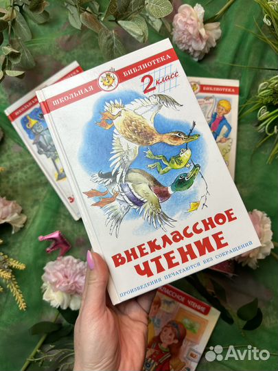 Внеклассное чтение. Книги