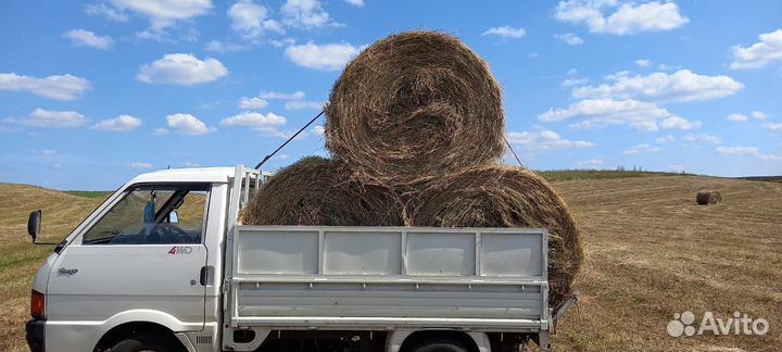 Сено зеленое