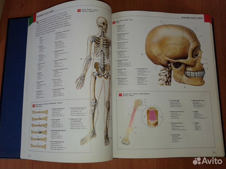 Большой иллюстрированный словарь