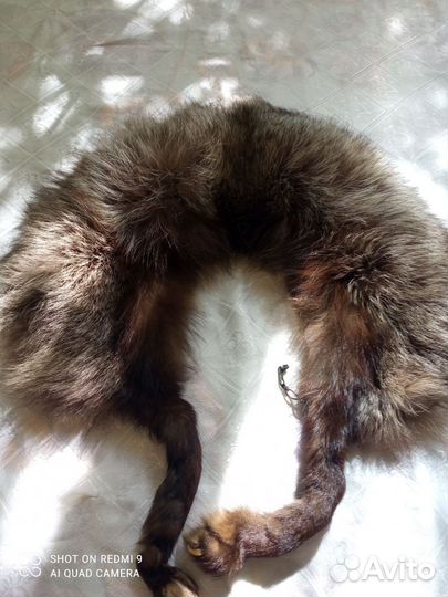 Меховая горжетка песец